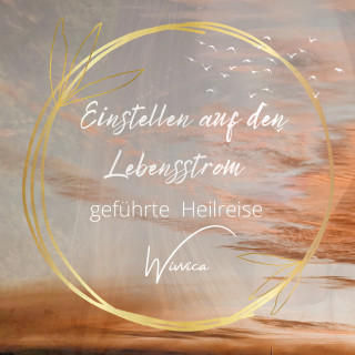 Wivvica: Einstellen auf den Lebensstrom