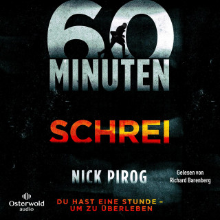 Nick Pirog: 60 Minuten – Schrei (Die Henry-Bins-Serie 1)
