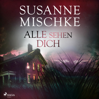 Susanne Mischke: Alle sehen dich (Hannover-Krimis, Band 12)