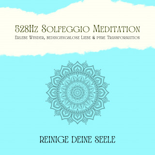 Patrick Lynen: Reinige Deine Seele & vertraue Deinem Schutzengel: 528Hz Solfeggio Meditation
