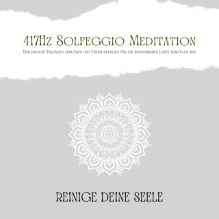 Patrick Lynen: 417Hz Solfeggio Meditation: Vergangene Traumata auflösen und Veränderungen für ein wunderbares Leben ermöglichen