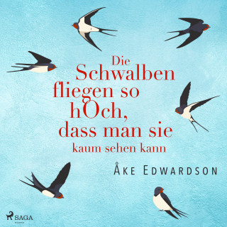 Åke Edwardson: Die Schwalben fliegen so hoch, dass man sie kaum sehen kann