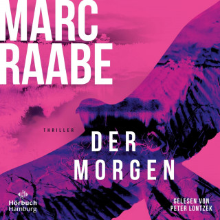 Marc Raabe: Der Morgen (Art Mayer-Serie 1)