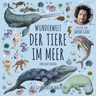 Chae Strathie: Wunderwelt der Tiere im Meer