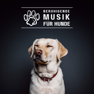 World Of Dogs: Beruhigende Musik für Hunde