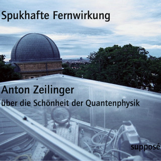 Klaus Sander, Anton Zeilinger: Spukhafte Fernwirkung