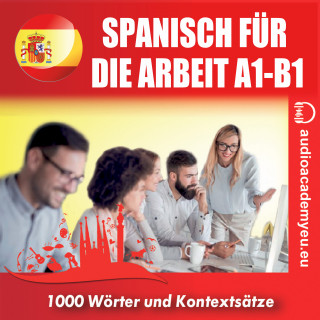 Tomas Dvoracek: Spanisch für die Arbeit A1-B1