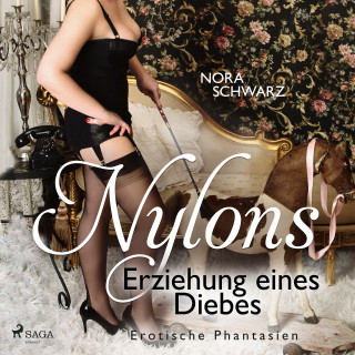 Nora Schwarz: Nylons: Erziehung eines Diebes - Erotische Phantasien