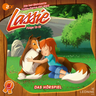 Irene Timm: Folgen 13-15: Wo ist Lassie?