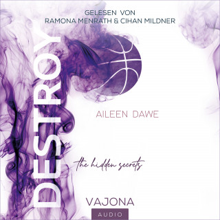 Aileen Dawe: DESTROY the hidden secrets (DESTROY-Reihe 1)
