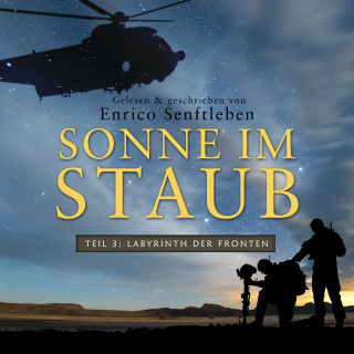 Enrico Senftleben: Sonne im Staub