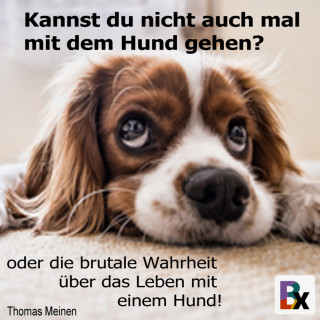 Thomas Meinen: Kannst du nicht auch mal mit dem Hund gehen?
