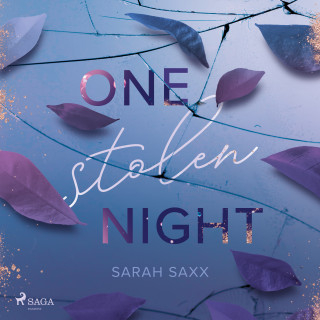 Sarah Saxx: One Stolen Night