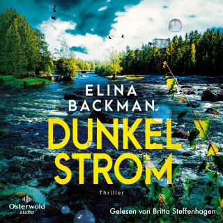 Elina Backman: Dunkelstrom (Die Saana-Havas-Reihe 2)