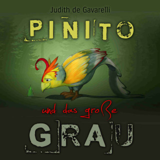 Judith de Gavarelli: PINITO und das große Grau