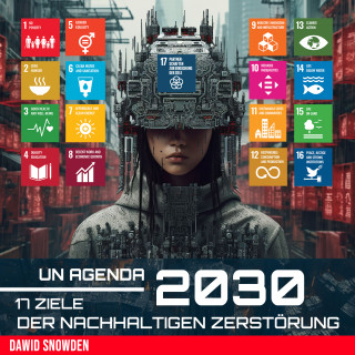 Dawid Snowden: UN Agenda 2030