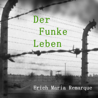 Erich Maria Remarque: Der Funke Leben