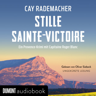 Cay Rademacher: Stille Sainte-Victoire