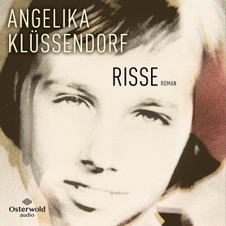 Angelika Klüssendorf: Risse