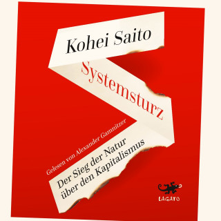 Kohei Saito: Systemsturz