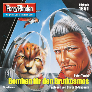 Peter Terrid: Perry Rhodan 1861: Bomben für den Brutkosmos