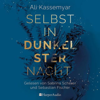 Ali Kassemyar: Selbst in dunkelster Nacht (ungekürzt)