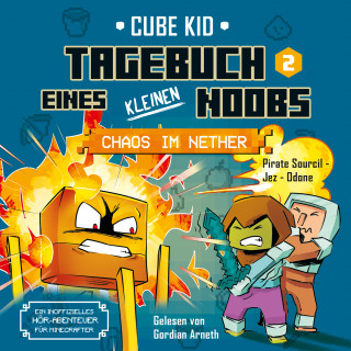 Laura Rivière: Tagebuch eines kleinen Noobs Bd. 2
