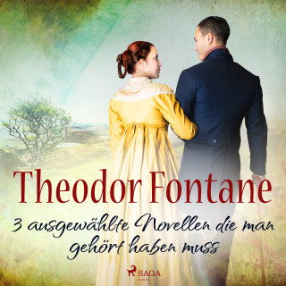 Theodor Fontane: Theodor Fontane – 3 ausgewählte Novellen, die man gehört haben muss