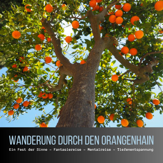Patrick Lynen: Wanderung durch den Orangenhain: Ein Fest der Sinne - Fantasiereise - Mentalreise - Geführte Tiefenentspannung - Gedankenreise