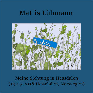 Mattis Lühmann: Meine Sichtung in Hessdalen (19.07.2018 Hessdalen, Norwegen)