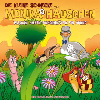 Kati Naumann: 70: Warum haben Einhornkäfer ein Horn?