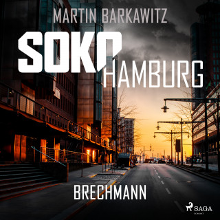 Martin Barkawitz: SoKo Hamburg: Brechmann (Ein Fall für Heike Stein, Band 17)
