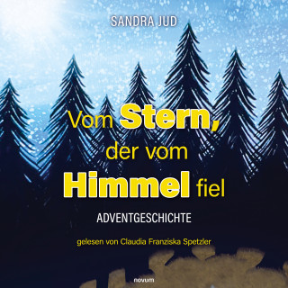 Sandra Jud: Vom Stern, der vom Himmel fiel - Hörbuch