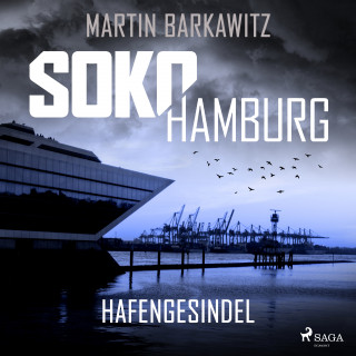 Martin Barkawitz: SoKo Hamburg: Hafengesindel (Ein Fall für Heike Stein, Band 18)