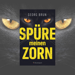 Georg Brun: Spüre meinen Zorn