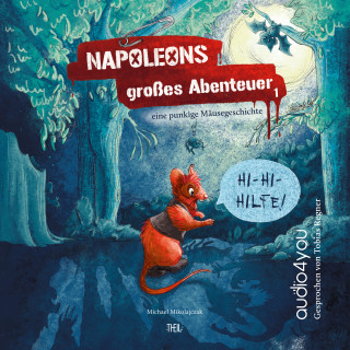 Michael Mikolajczak: Napoleons grosses Abenteuer
