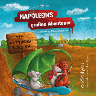 Michael Mikolajczak: Napoleons grosses Abenteuer