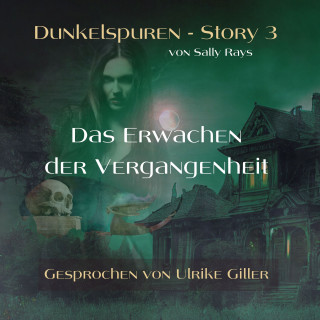 Sally Rays: Dunkelspuren - Story 3