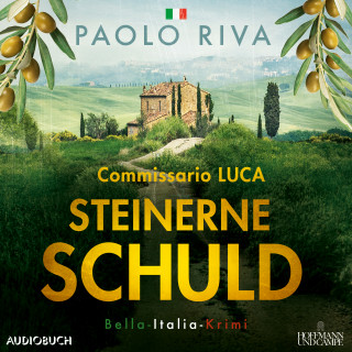 Paolo Riva: Steinerne Schuld