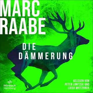 Marc Raabe: Die Dämmerung (Art Mayer-Serie 2)