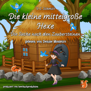V.C. Schmitt: Die kleine mittelgroße Hexe