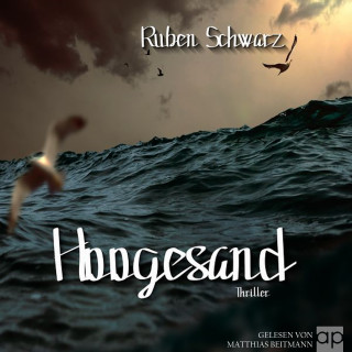 Ruben Schwarz: Hoogesand