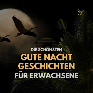 Institut für Stressabbau: Die schönsten Gute Nacht Geschichten für Erwachsene
