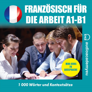 Tomas Dvoracek: Französisch für die Arbeit A1-B1