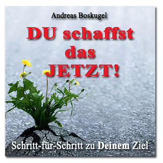 Andreas Boskugel: DU schaffst das JETZT!