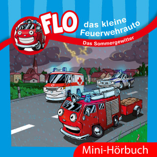 Christian Mörken: Das Sommergewitter