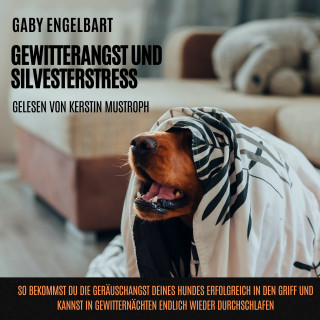 Gaby Engelbart: Gewitterangst und Silvesterstress: So bekommst du die Geräuschangst deines Hundes erfolgreich in den Griff und kannst in Gewitternächten endlich wieder durchschlafen.