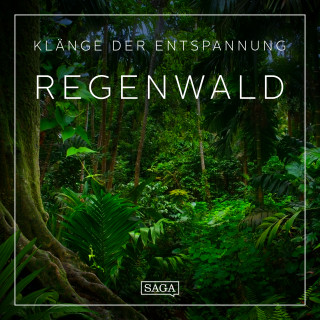 Rasmus Broe: Klänge der Entspannung - Regenwald