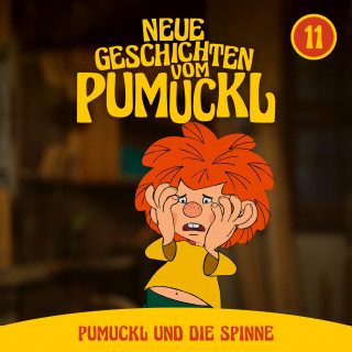 Moritz Binder, Korbinian Dufter, Matthias Pacht, Angela Strunck, Katharina Köster: 11: Pumuckl und die Spinne (Neue Geschichten vom Pumuckl)