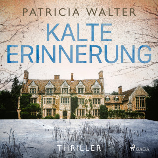 Patricia Walter: Kalte Erinnerung